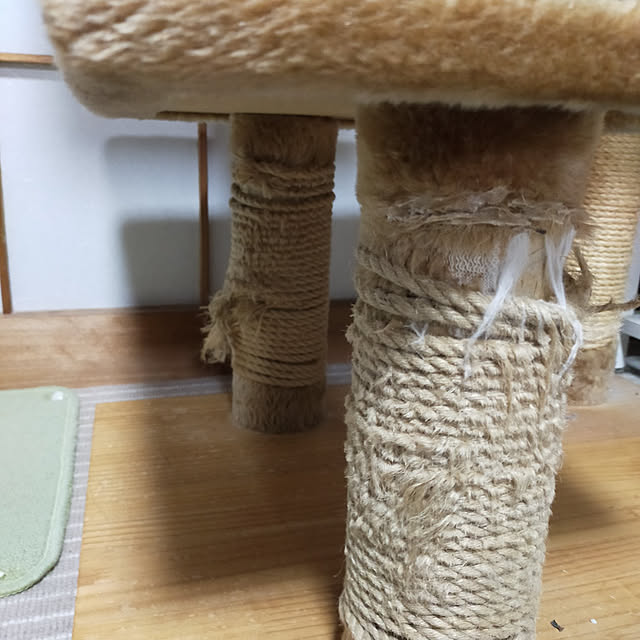 leon.cat172さんの実例写真