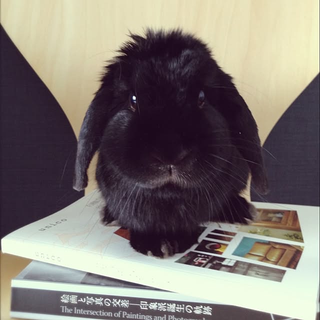 tu-chanさんの実例写真