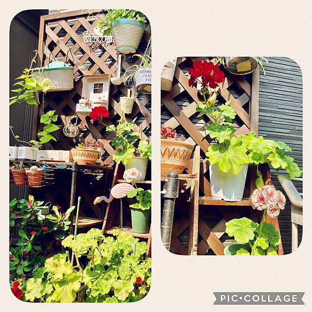 CoCo0617さんの実例写真