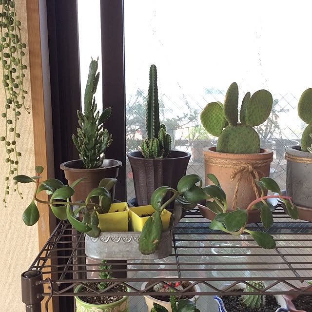 emiさんの実例写真