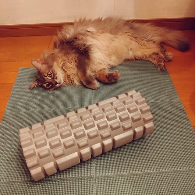 luke.solさんの実例写真