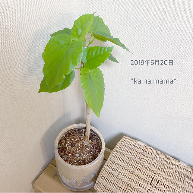 ka.na.mamaさんの実例写真