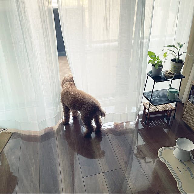 ponさんの実例写真