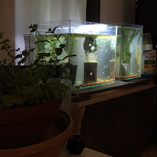 mi-saさんの部屋