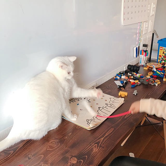ha11na40さんの実例写真