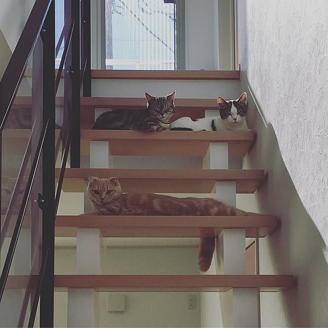 a-shiさんの実例写真
