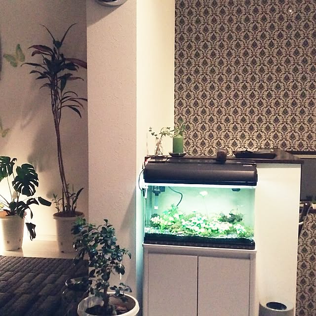 tomotomoさんの実例写真