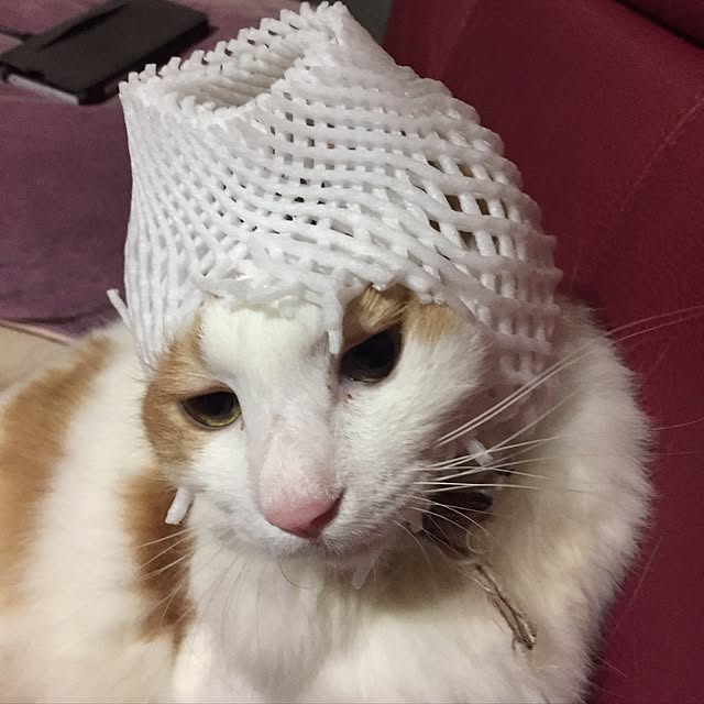 maria.rさんの実例写真