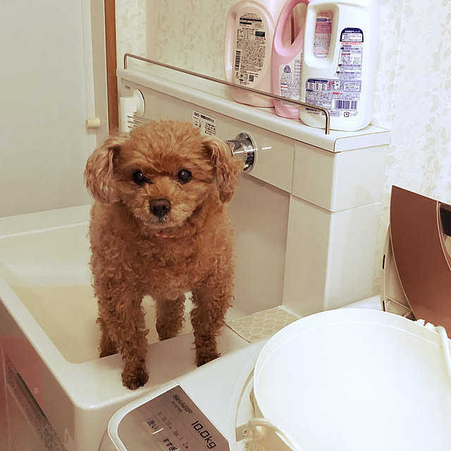 haruminさんの実例写真