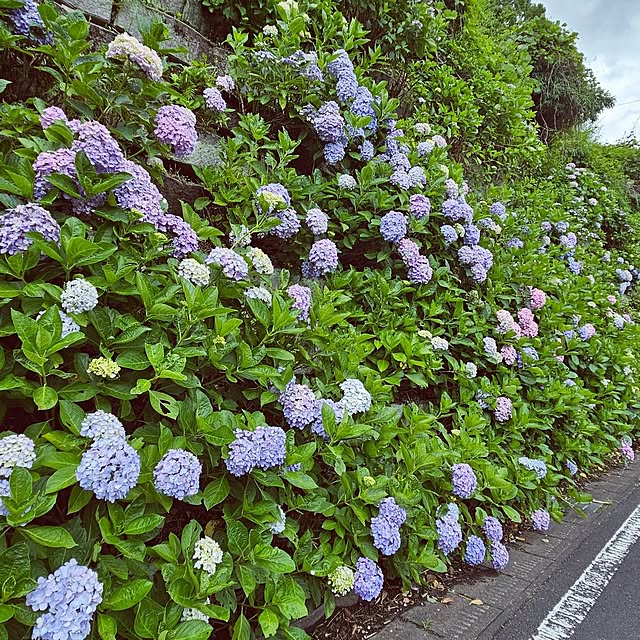 mocomocoさんの部屋