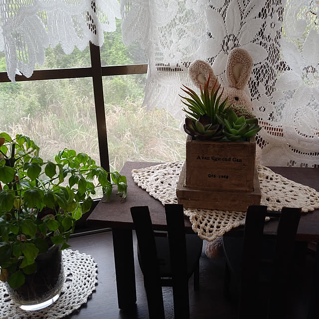 リビング/観葉植物/雑貨/ドライフラワーのインテリア実例 - 2019-04-24 13:22:01