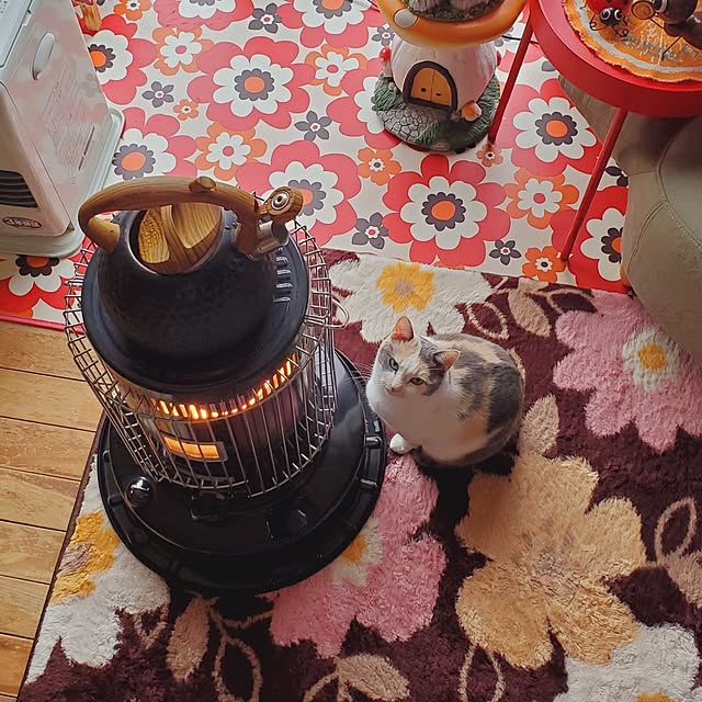 kumutanさんの部屋