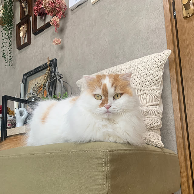 keiさんの部屋