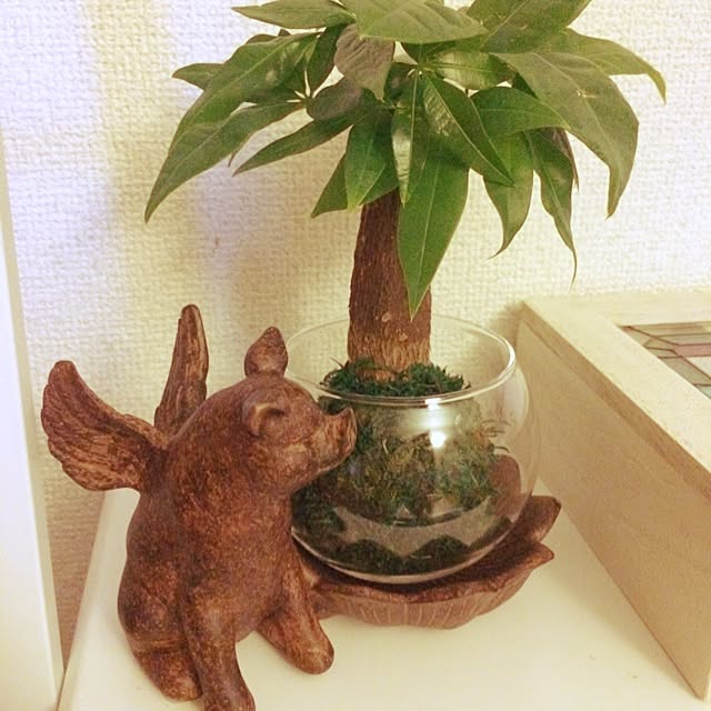 nonchiさんの実例写真