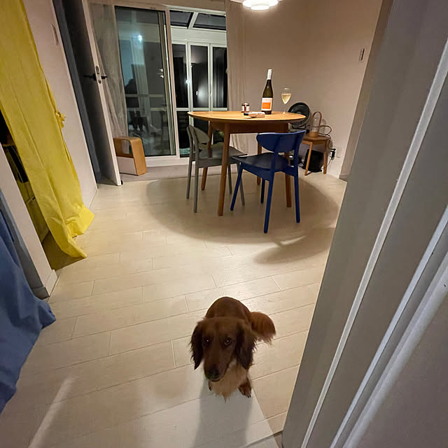 Mikaさんの部屋