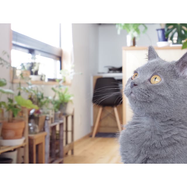 agtpd8462さんの実例写真