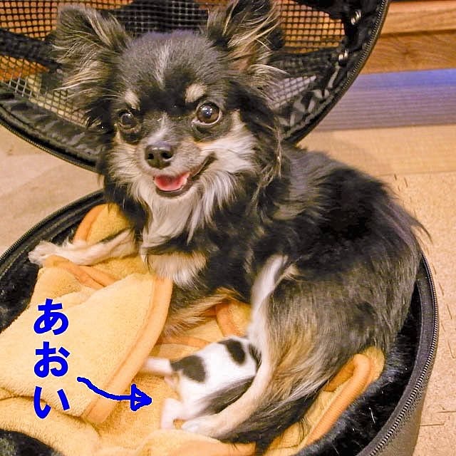 Shunsukeさんの実例写真