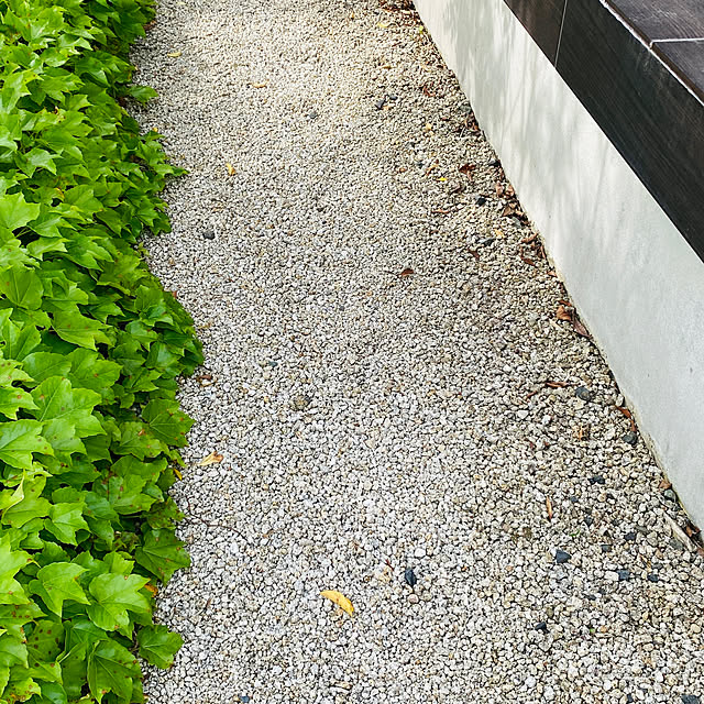 GISSANさんの部屋