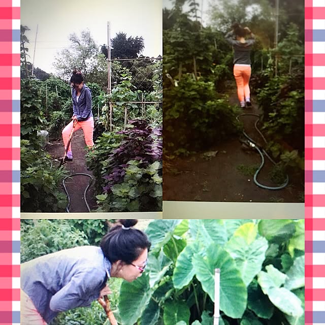 chukinoさんの実例写真