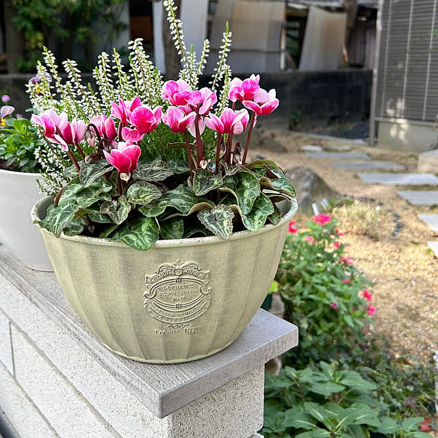 violetさんの実例写真