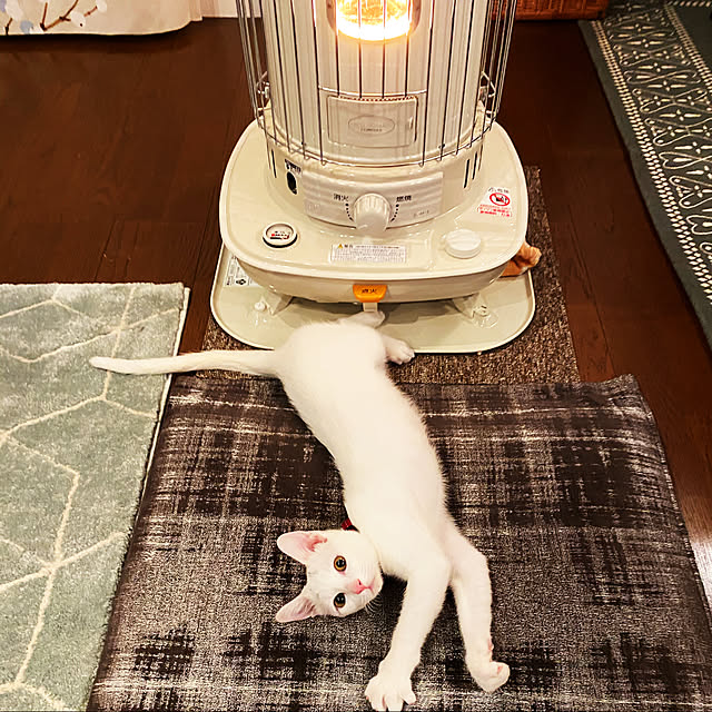 hanaさんの実例写真