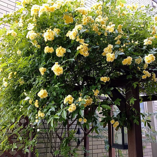 makotomosukeさんの部屋