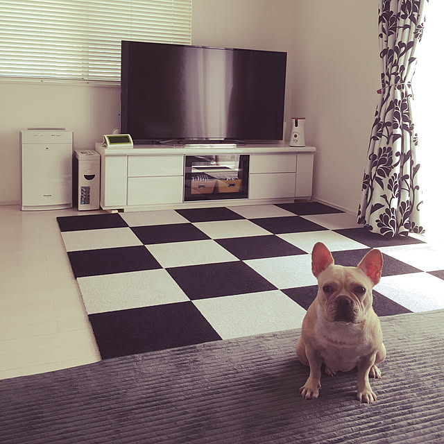 nicoさんの実例写真