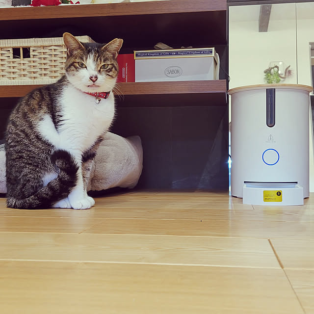 natuさんの実例写真