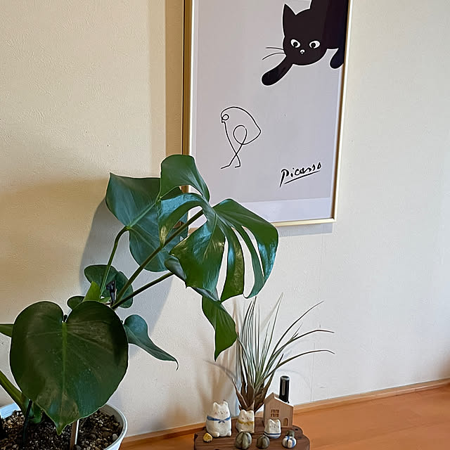 kakoさんの部屋