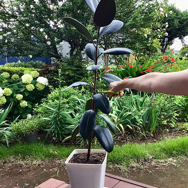 houenさんの部屋