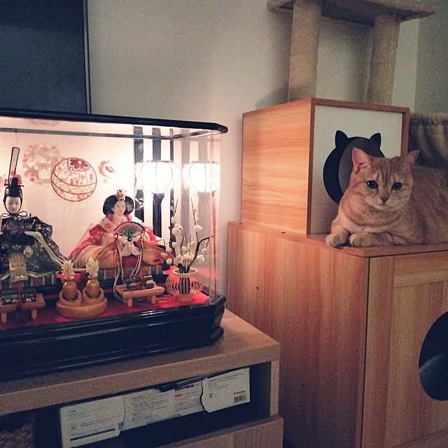 ayumiさんの部屋