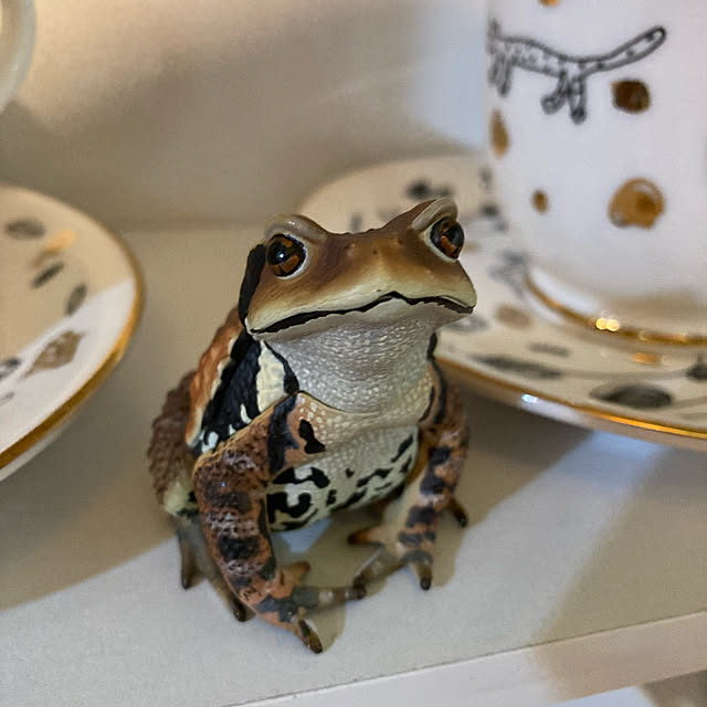 rika821さんの実例写真