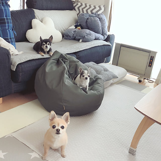 Emiさんの実例写真