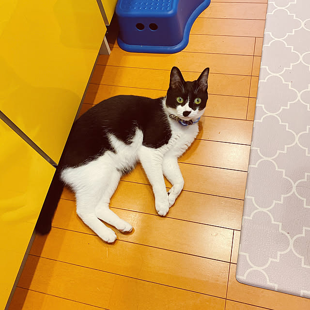 moolさんの実例写真