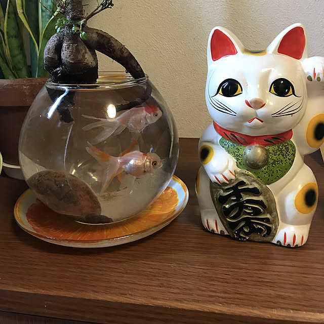 tornadeさんの実例写真