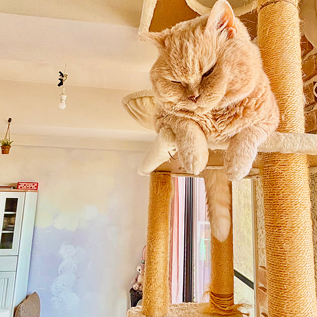 naokoさんの部屋