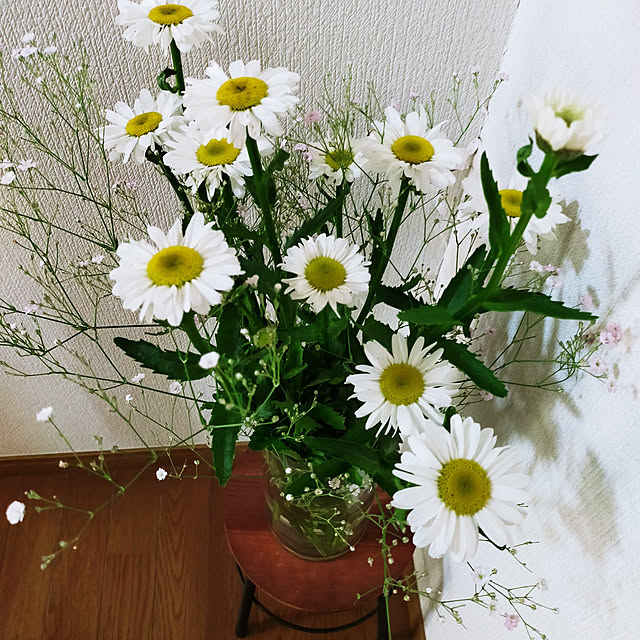 leon.cat172さんの実例写真