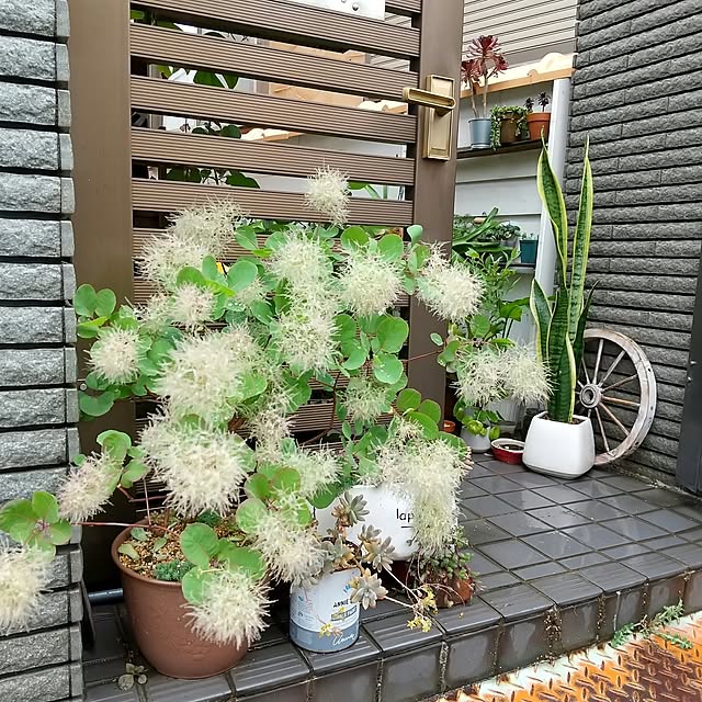 tomomiさんの実例写真
