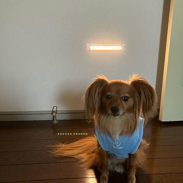 toratanさんの実例写真