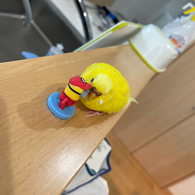 chiiさんの部屋
