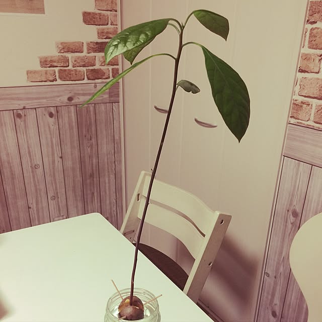 tomoさんの実例写真
