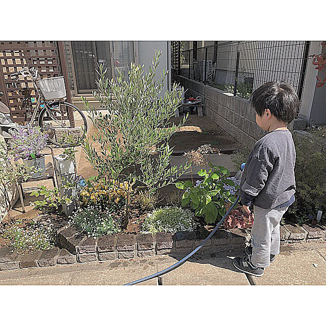 muku515さんの実例写真