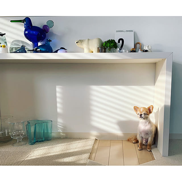 haruhinaさんの実例写真
