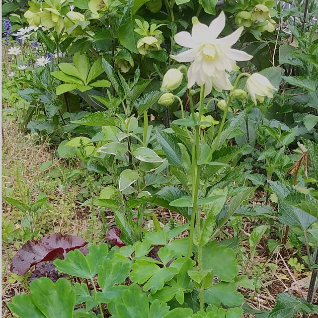 YU-KAさんの実例写真