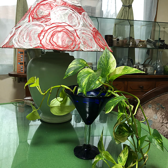 cocoさんの実例写真
