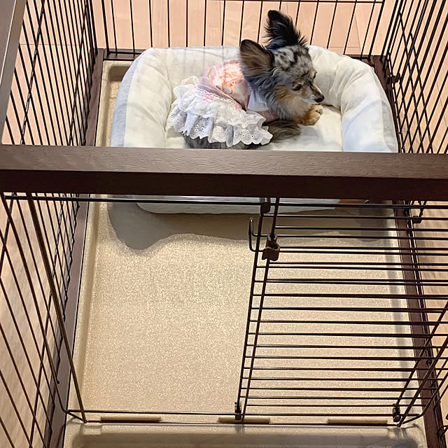 yuriさんの実例写真