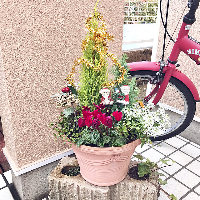 tararaさんの実例写真