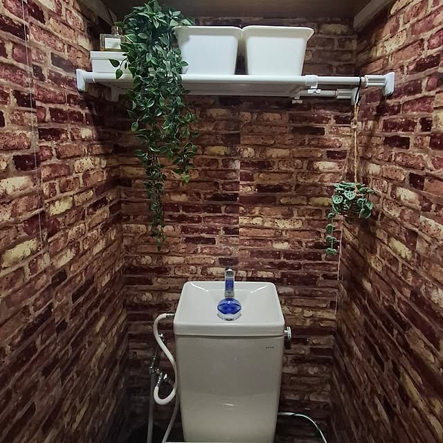 noaさんの実例写真