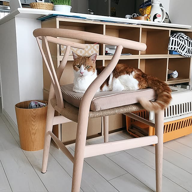 3122さんの実例写真