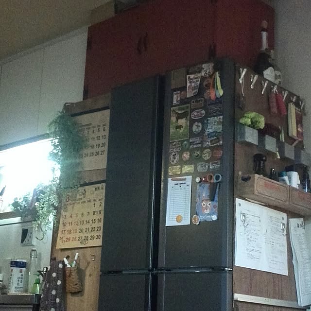 ayuさんの実例写真
